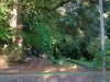 kinnoull gardens